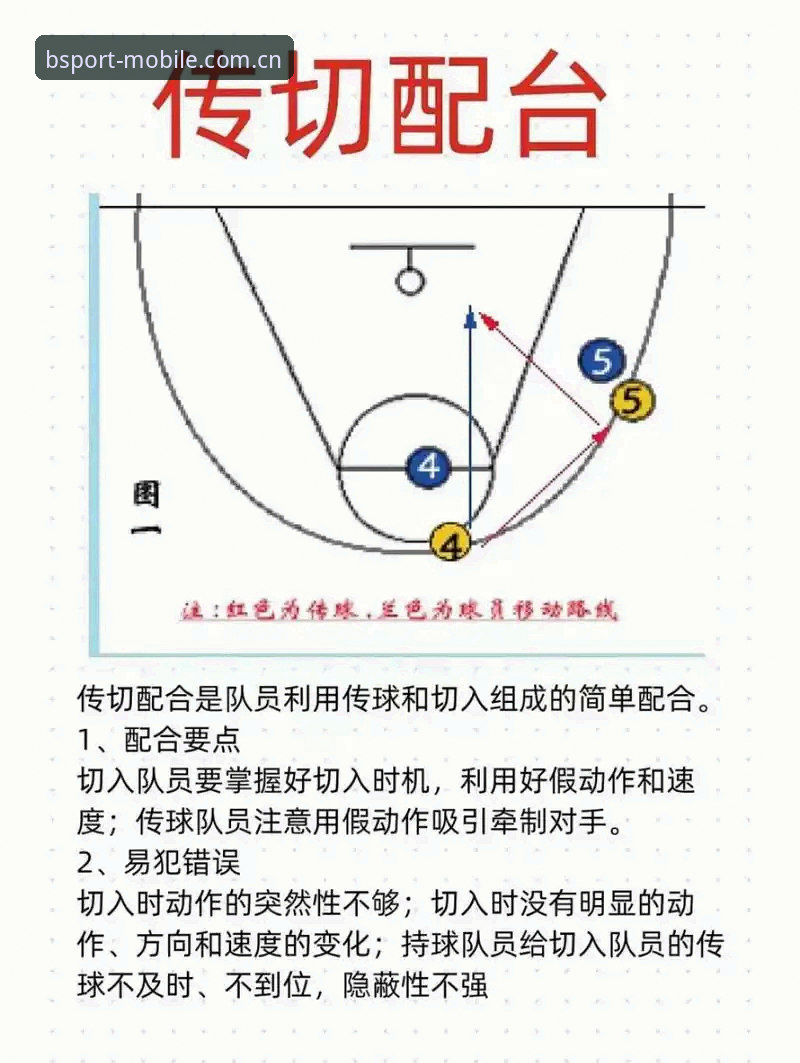 bsport体育教程 必博体育官网深度分析:bsport体育教程与实战操作全面解析